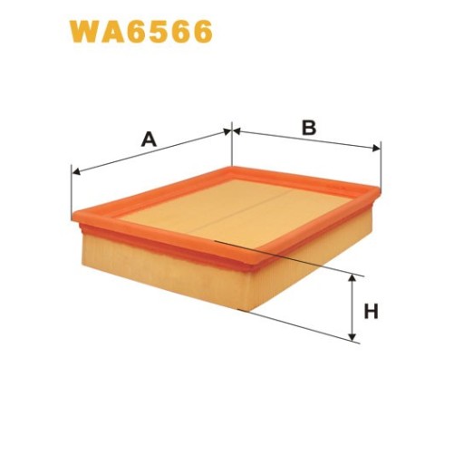 WA6566