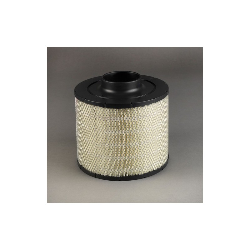 B100094 Filtr Powietrza Donaldson