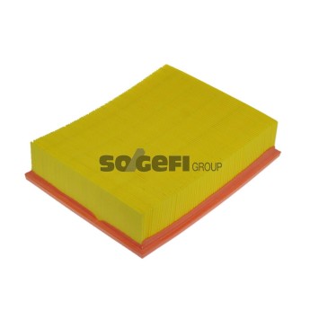 PA7198 Filtr powietrza FIAAM