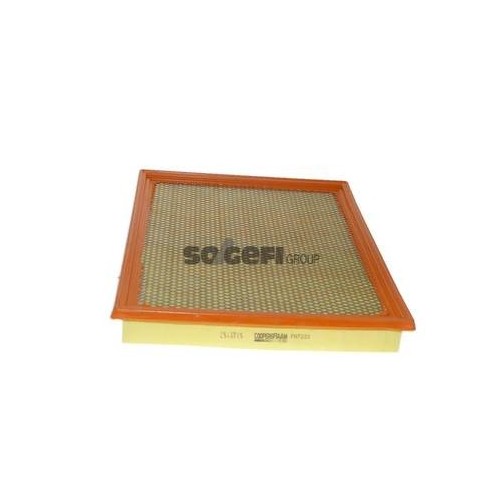 PA7233 Filtr powietrza FIAAM