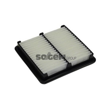 PA7274 Filtr powietrza FIAAM