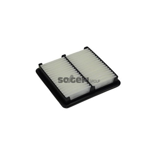 PA7274 Filtr powietrza FIAAM