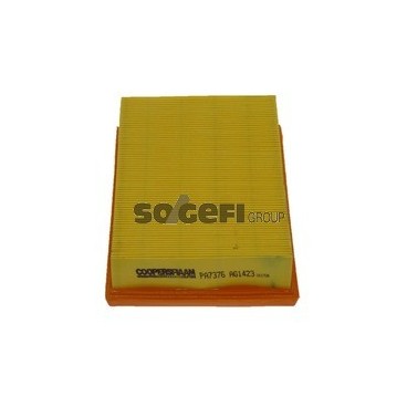 PA7376 Filtr powietrza FIAAM