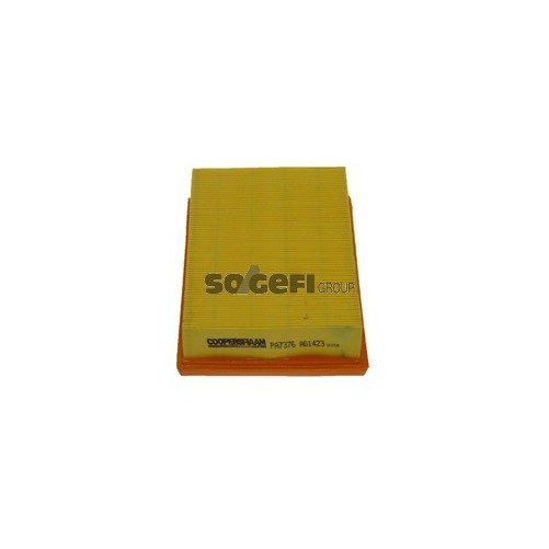 PA7376 Filtr powietrza FIAAM