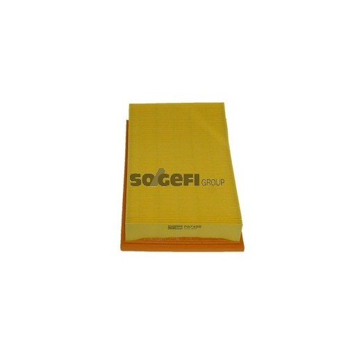 PA7455 Filtr powietrza FIAAM