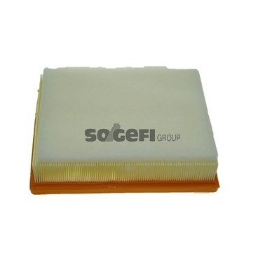 PA7487 Filtr powietrza FIAAM