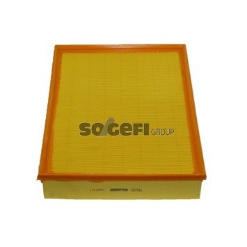 PA7551 Filtr powietrza FIAAM