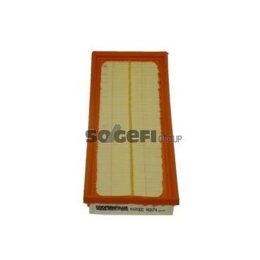 PA7002 Filtr powietrza FIAAM