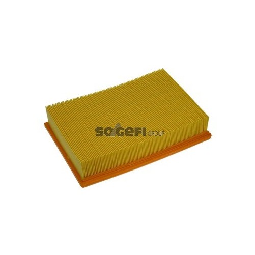 PA7135 Filtr powietrza FIAAM