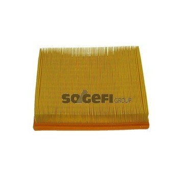 PA7177 Filtr powietrza FIAAM