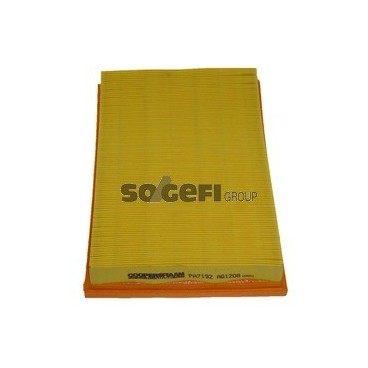 PA7192 Filtr powietrza FIAAM