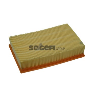 PA7321 Filtr powietrza FIAAM